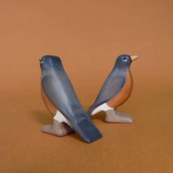 Forest Melody | Robin -Simple Play Stories Forest Melody Robin 3