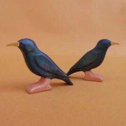 Forest Melody | Starling -Simple Play Stories Forest Melody Starling Crow 5