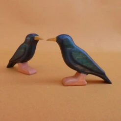 Forest Melody | Starling -Simple Play Stories Forest Melody Starling Crow 6