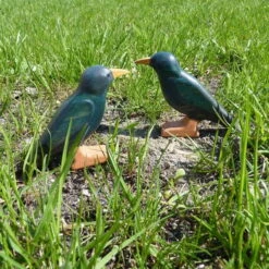 Forest Melody | Starling -Simple Play Stories Forest Melody Starling Crow 9