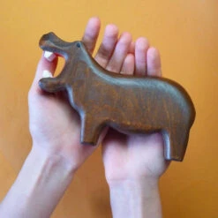 Forest Melody | Hippo -Simple Play Stories Forest Melody hippopotamus