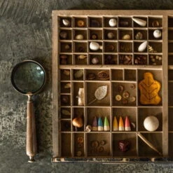 Grapat | Baby Palos Sticks -Simple Play Stories Grapat Baby Palos Sticks 3