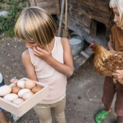 Grapat | Storage Box -Simple Play Stories Grapat Storage Box 5