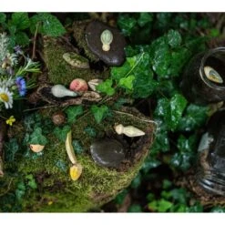 Grapat | Wild -Simple Play Stories Grapat Wild 5