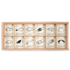 Grapat | Wild -Simple Play Stories Grapat Wild 6