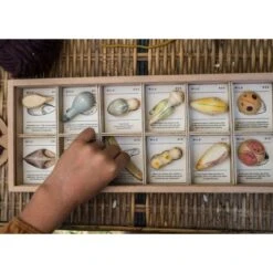 Grapat | Wild -Simple Play Stories Grapat Wild 7