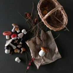 Moon Picnic | Forest Mushrooms Basket 8 Moon Picnic | Forest Mushrooms Basket -Simple Play Stories Moon Picnic Forest Mushrooms Basket 5