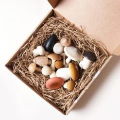 Moon Picnic | Forest Mushrooms In A Box