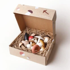Moon Picnic | Forest Mushrooms In A Box -Simple Play Stories Moon Picnic Forest Mushrooms in a Box