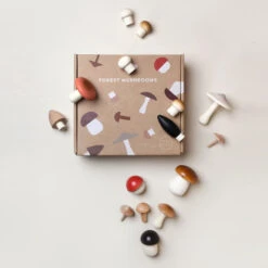 Moon Picnic | Forest Mushrooms In A Box -Simple Play Stories Moon Picnic Forest Mushrooms in a Box 3