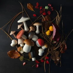 Moon Picnic | Forest Mushrooms In A Box -Simple Play Stories Moon Picnic Forest Mushrooms in a Box 5