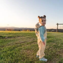 Olli Ella | Daydream Dozy Dinkum | Pickle Blossom -Simple Play Stories Olli Ella Daydream Dozy Dinkum Pickle Blossom Carrier 2