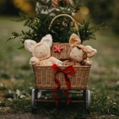 Olli Ella | Cozy Dinkum | Fawny Twinkle -Simple Play Stories Olli Ella Fawny Cozy Dinkums Twiggy Twinkle 8 cb91113e 5d19 488e 8baa 567c468ba12e