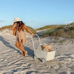 Olli Ella | Strolley | Chalk -Simple Play Stories Olli Ella Strolley Chalk 5